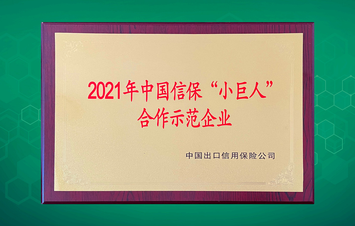 楊帆遠(yuǎn)航走向世界！華聯(lián)領(lǐng)世榮獲中國信?！靶【奕恕焙献魇痉镀髽I(yè)！